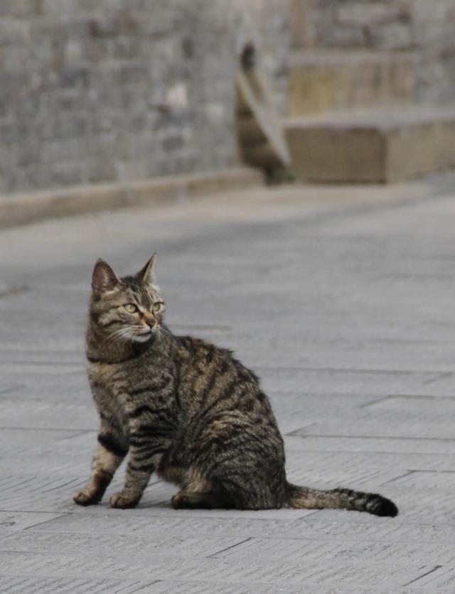 徜徉·太原古县城·太原