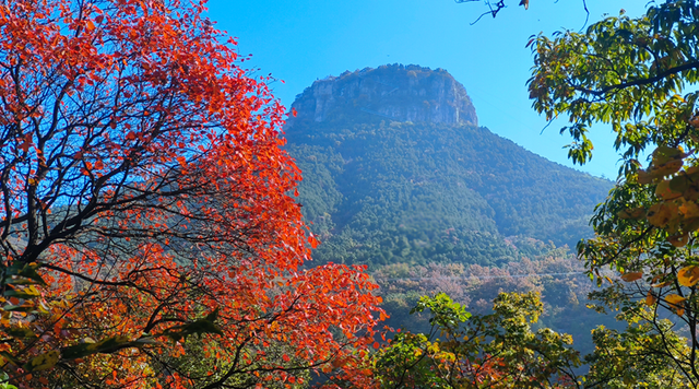 抱犊崮入选山东金秋醉美红叶观赏地