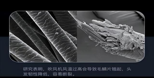 吹风机经常吹头发有坏处吗？忠告四大风险弊病