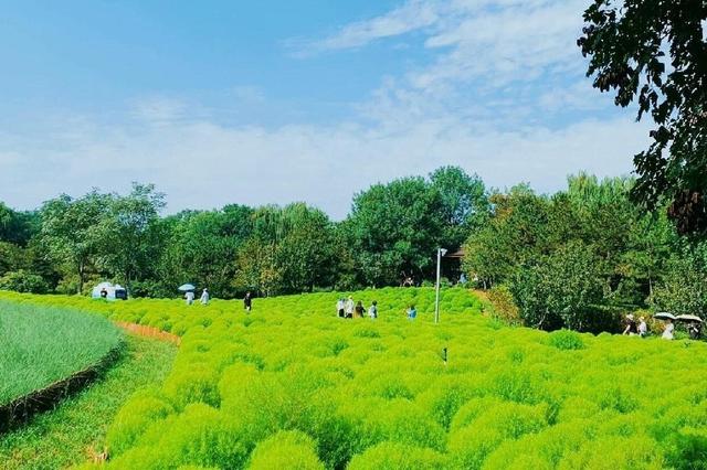 北京奥林匹克森林公园 城市中的绿色明珠