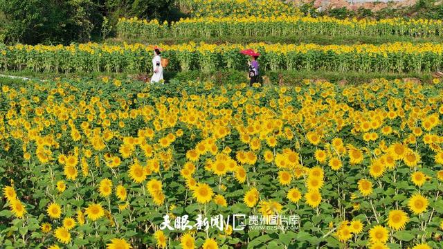 G视觉｜贵州夏日“热”力全开，避暑旅游火出圈