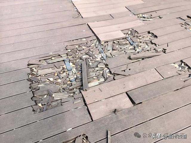 浙南最大的乡镇湿地公园原来在这里！