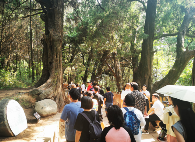 广元周末“高铁圈”引爆蓉城：1.5小时直达，解锁蜀道上的诗与远方