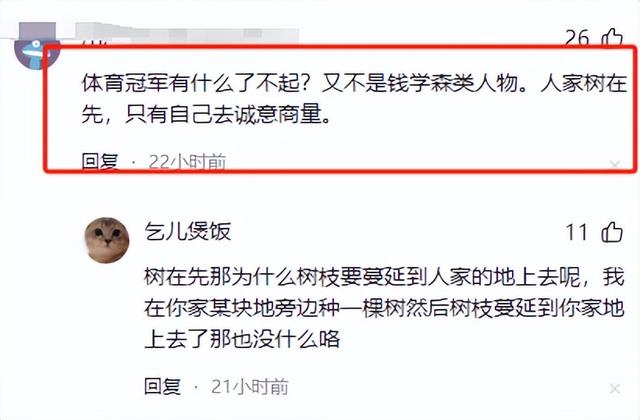 全红婵家建房最新情况：施工受阻，邻居仍不肯砍树，现场照片曝光