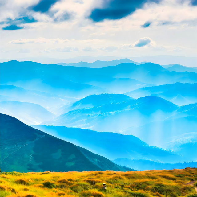 方寸之间尽风景 光影之中显非凡