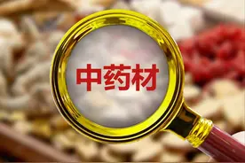 药食同源：是真养生还是智商税？图片