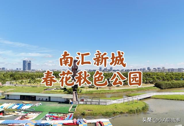 我是上海人，刚从南汇回来，这5个疑问在心里绕了好久。