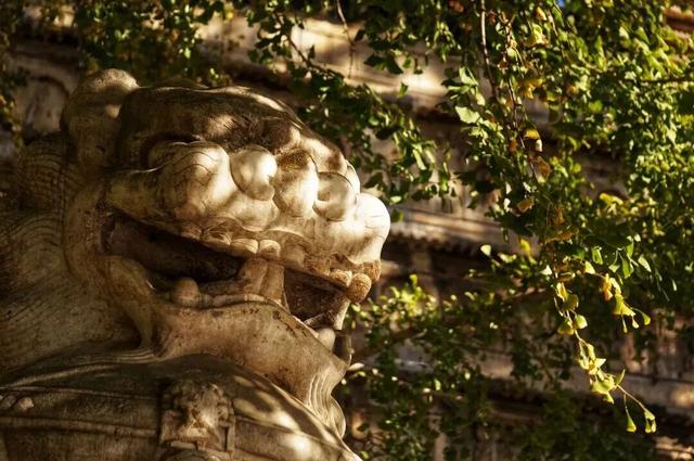 博物馆秋之旅丨博物馆限定！这些古建里的绝美秋色不可错过——