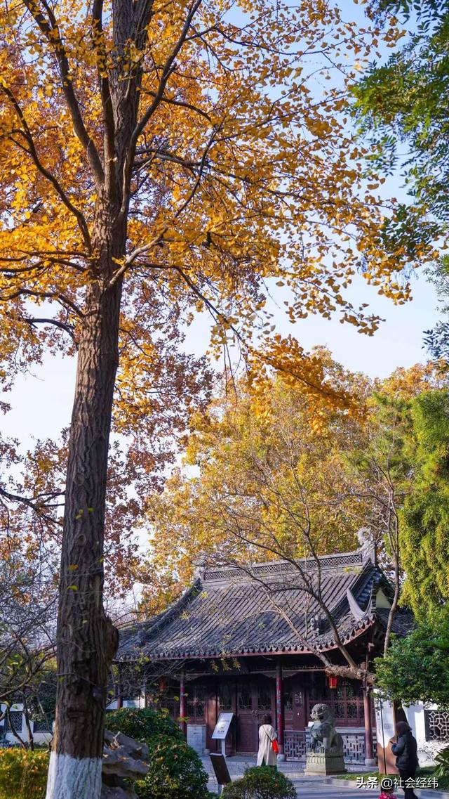 每日一景|封神赏景地·莫愁湖