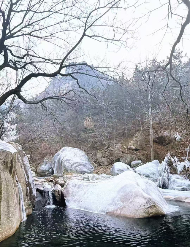 崂山这块石头火了！来崂山——“马”上好运！