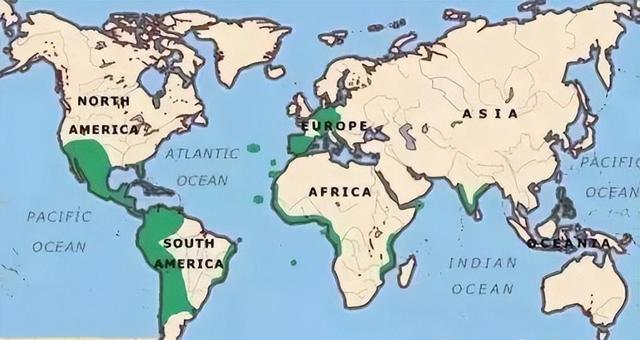 如果把中国类比成欧洲，中国各省、各地区相当于哪些欧洲国家？