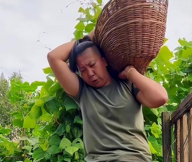 国务院点名封杀！1700万粉丝网红复出梦碎，直播带货路彻底堵死