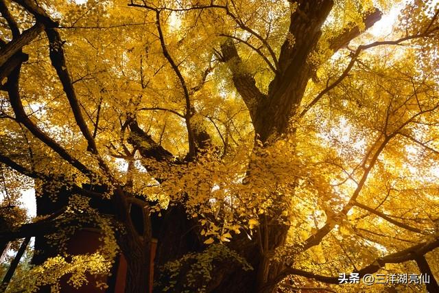 始得西山宴游记——【唐】柳宗元