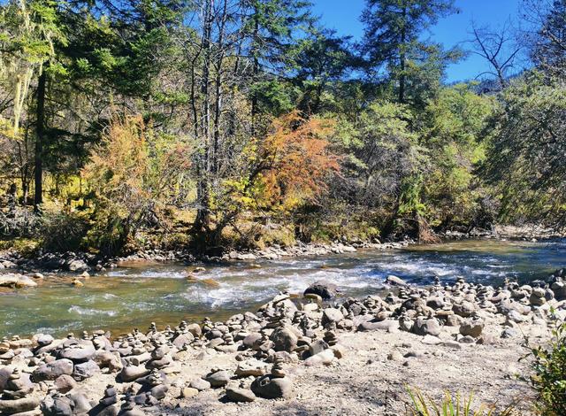 香格里拉之秋：普达措的湖光山色、秋林牧歌！