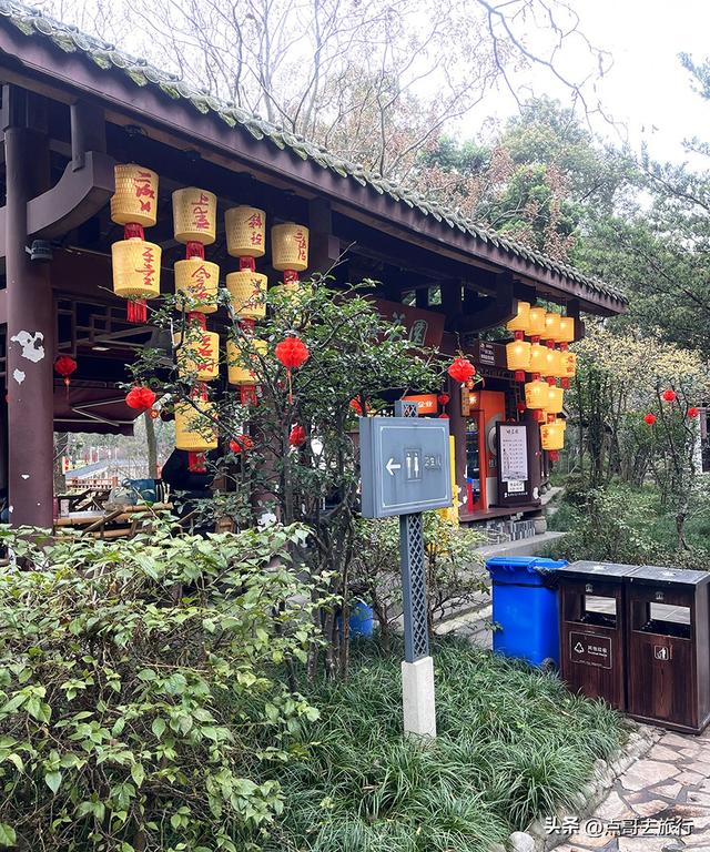 成都必去的六大坝坝茶，充满市井烟火，成都人私藏，地铁公交可达