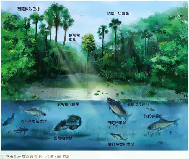 “山上怎么会有鱼？” | 全国科普月