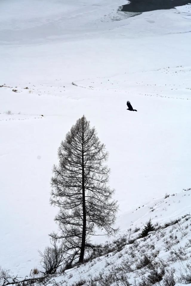 千万别在冬天去新疆！因为去了就回不来了……
