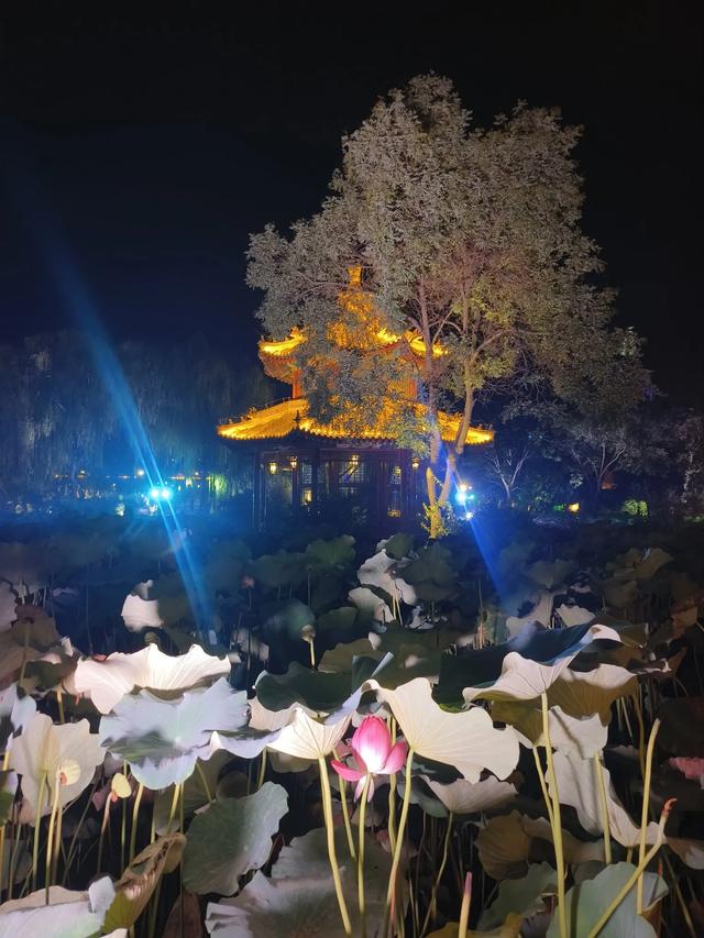 保定古莲花池夜游演出《莲池夜话·四喜良缘》,解锁古城新玩法!
