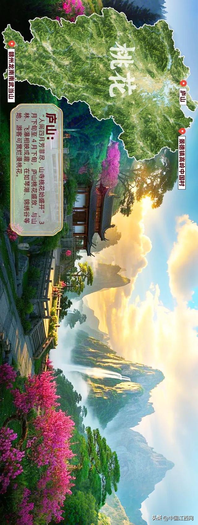 探春花丨江西春日赏花地图正式发布！