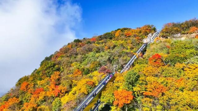 秋假不“宅家”!汉中这4条线路,承包你和孩子的秋日心动~