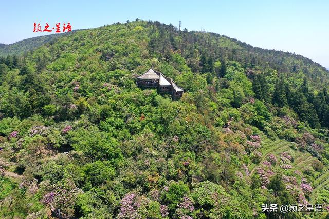 浙东大峡谷三溪汇流：浑水溪为何如此神秘？
