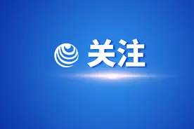 爱犬落水主人下海施救，不料双双陷入险境，最后……图片