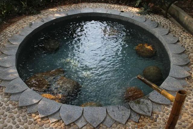 “冬养罗浮”康养品牌发布！在引领区过冬是怎样一种体验？