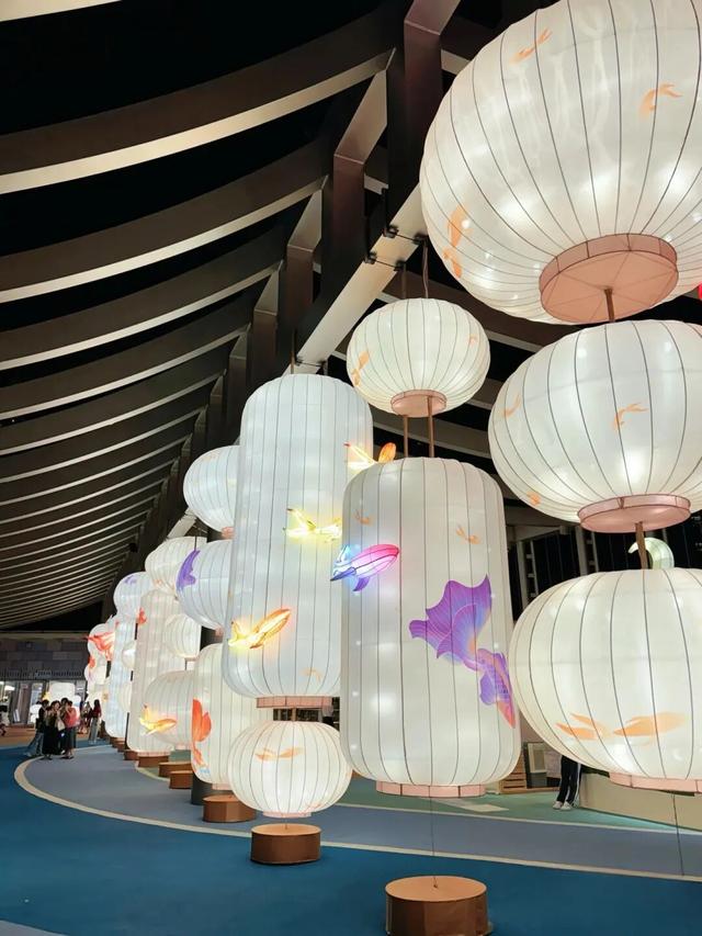 双节到前海嗨⑨ | 假期里的悠然时光与热闹狂欢