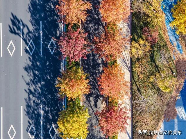 【乐游烟台】现在就冲！烟台这几处街景美到开挂