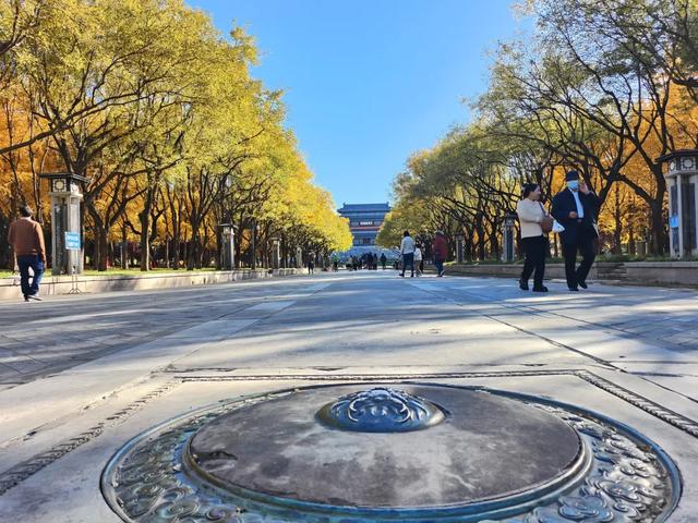 你会怀念这个秋天吗？