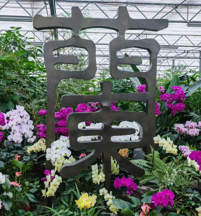 原来真的有城市，可以一天24小时都快乐~（2）