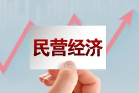 2023宁夏民营企业100强榜单揭晓图片