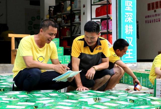 「宜宾」凝聚新力量 赋能新经济：高县网络代表人士助力县域电商蓬勃发展