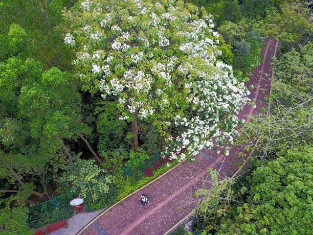 晶报特别报道 | 阳台山：藏过烽火，长出新城