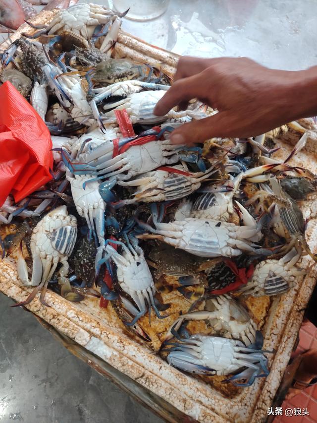 游记：名不经传的龙门镇