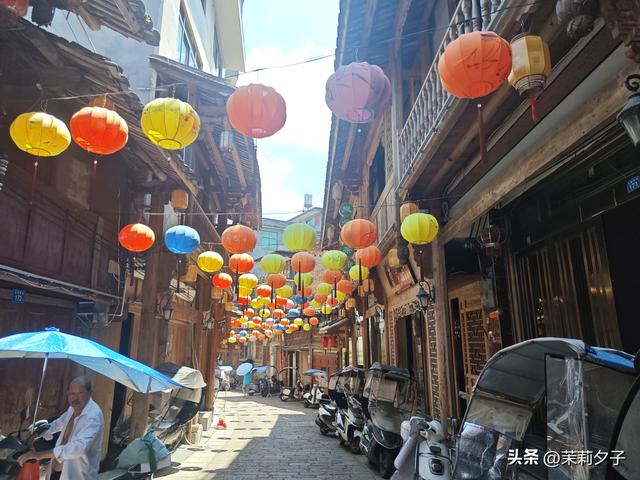 福鼎市区一日游：从白茶发源地到市井小吃赏唐风建筑品山海韵味