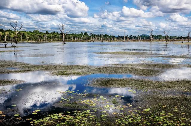 又一国对中国免签！千年的微笑在召唤