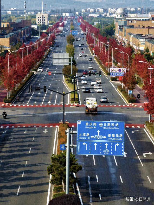 日照这条枫叶大道，美到让人走不动道！