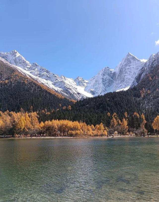 【美丽四川】美哉毕棚沟 好景缘森林‖管恒庆