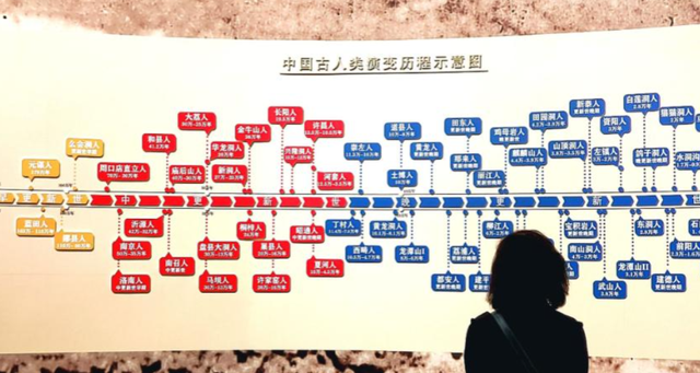 聚焦河南八里岗遗址，解码 58 例古人基因组，揪出 5000 年前文明线索