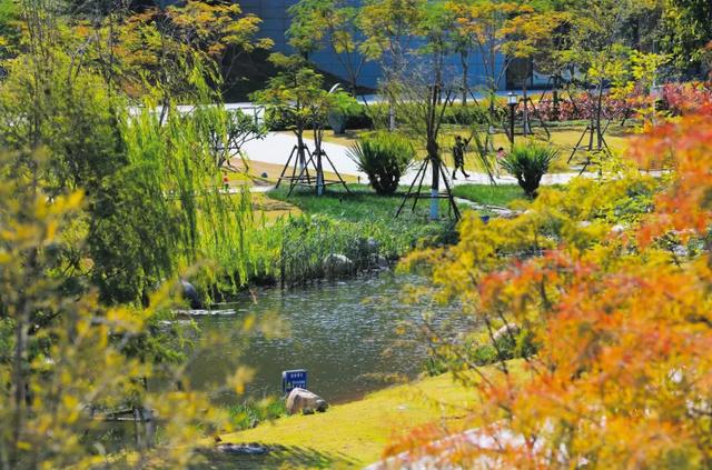 [福建 厦门市集美区灌口镇]