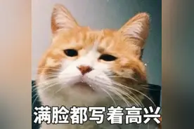 龙年春晚主题“龙行龘龘”？扒一扒生僻字背后的趣味故事图片