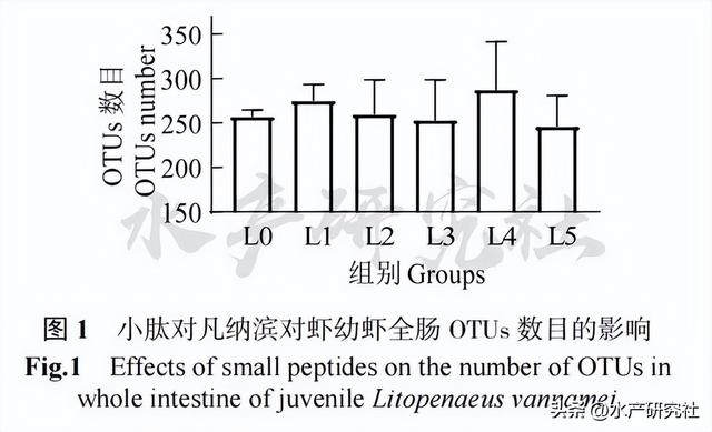 揭秘水产养殖中小肽！拌料促成长提升免疫调肠道健康一个都不少！