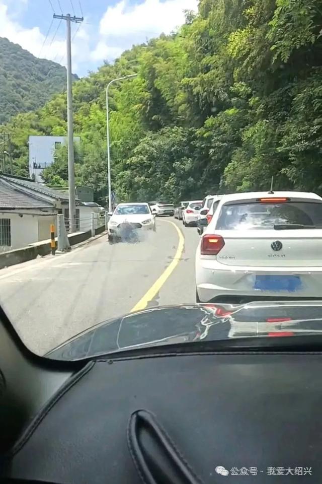 绍兴平水王坛但凡有条溪流的，都被城里人占据了！人多的像下饺子