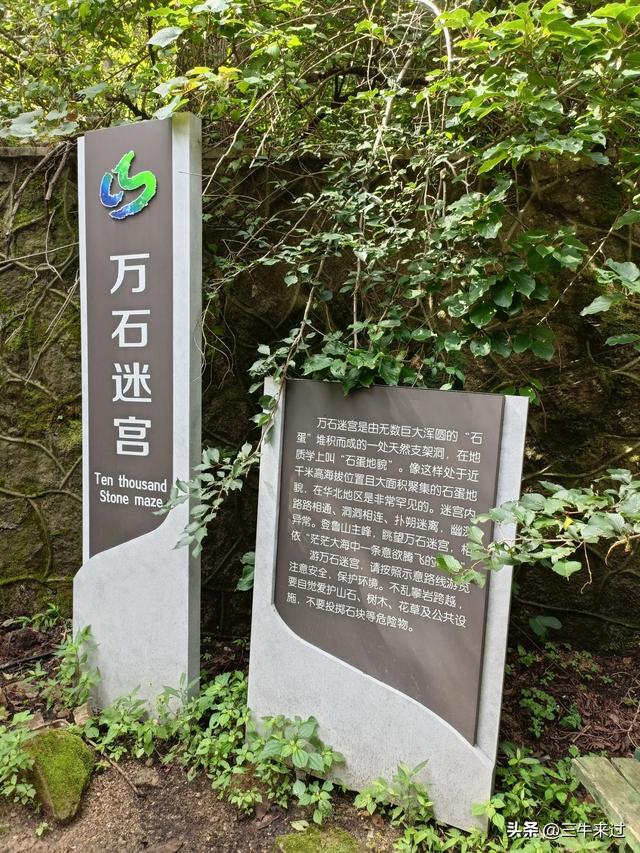 无为在歧路，避暑去鲁山