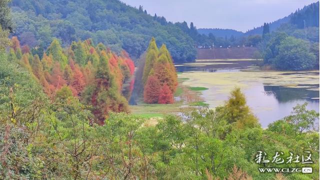 山水入画秋意来