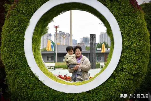 秋色满园菊绽千姿，假期快来银川花博园打卡！