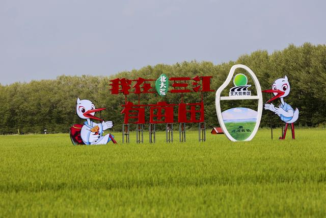凝望北大荒：绿浪翻涌处，到处都是耕耘诗，我用心感受丰年之序曲