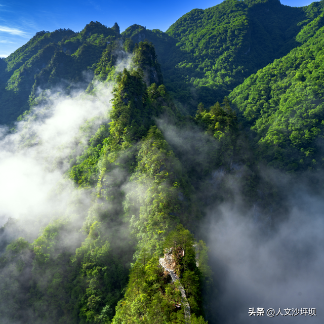 气温“狂飙”？！来21℃的重庆“北极”纳凉