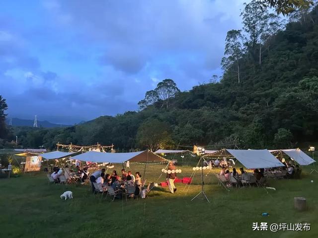 【网文】深圳风向：未来的坪山可能让你刮目相看